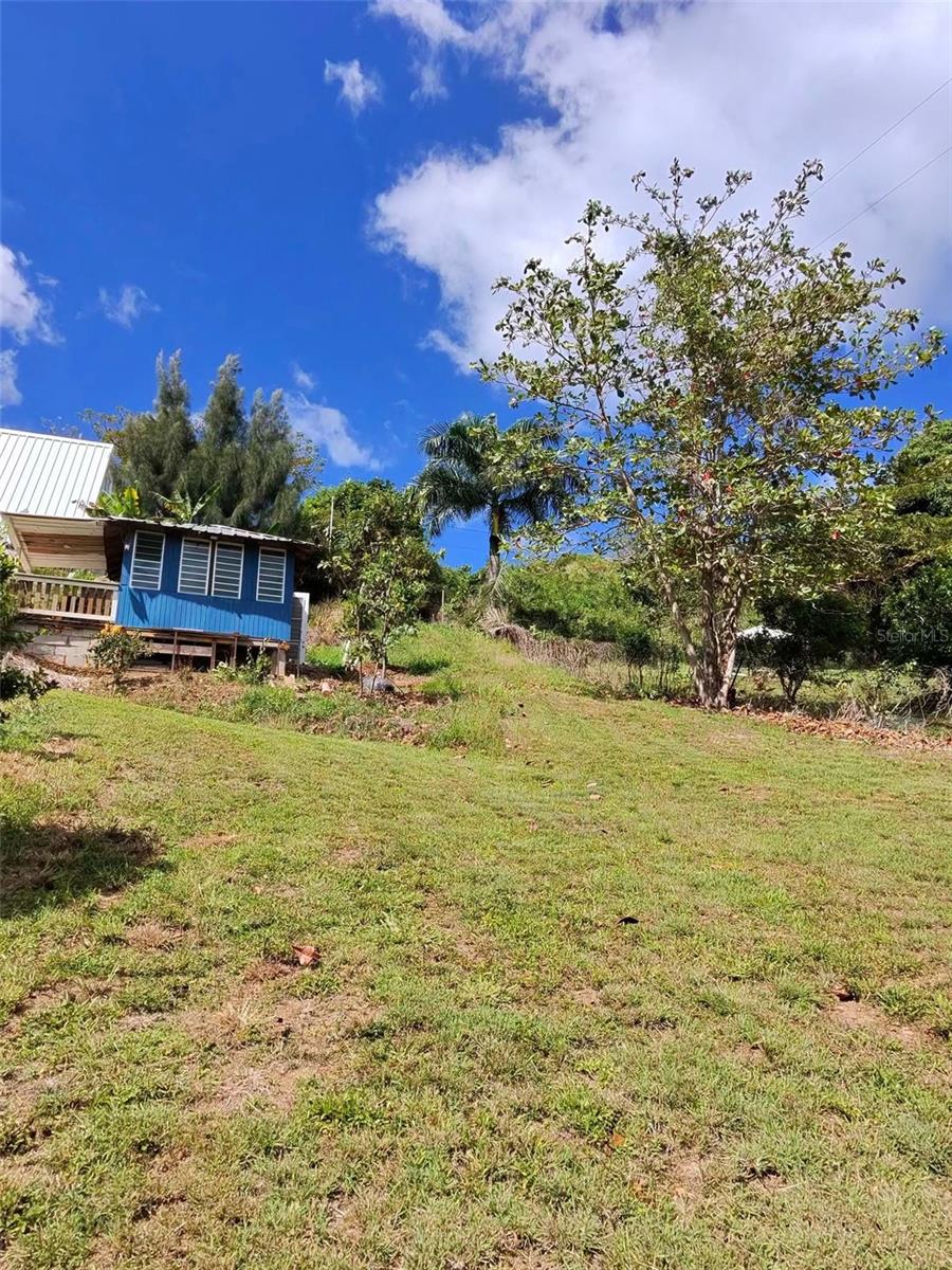 PROPIEDAD CARR. 717, BO. ALGARROBO - Residential