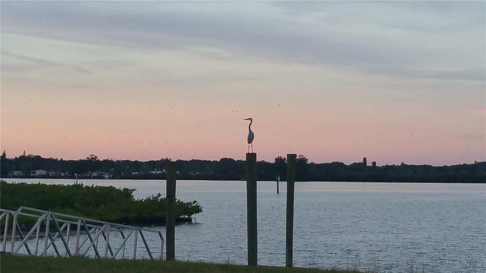 TERRACE III AT TIDEWATER PRESERVE PH II - Residential