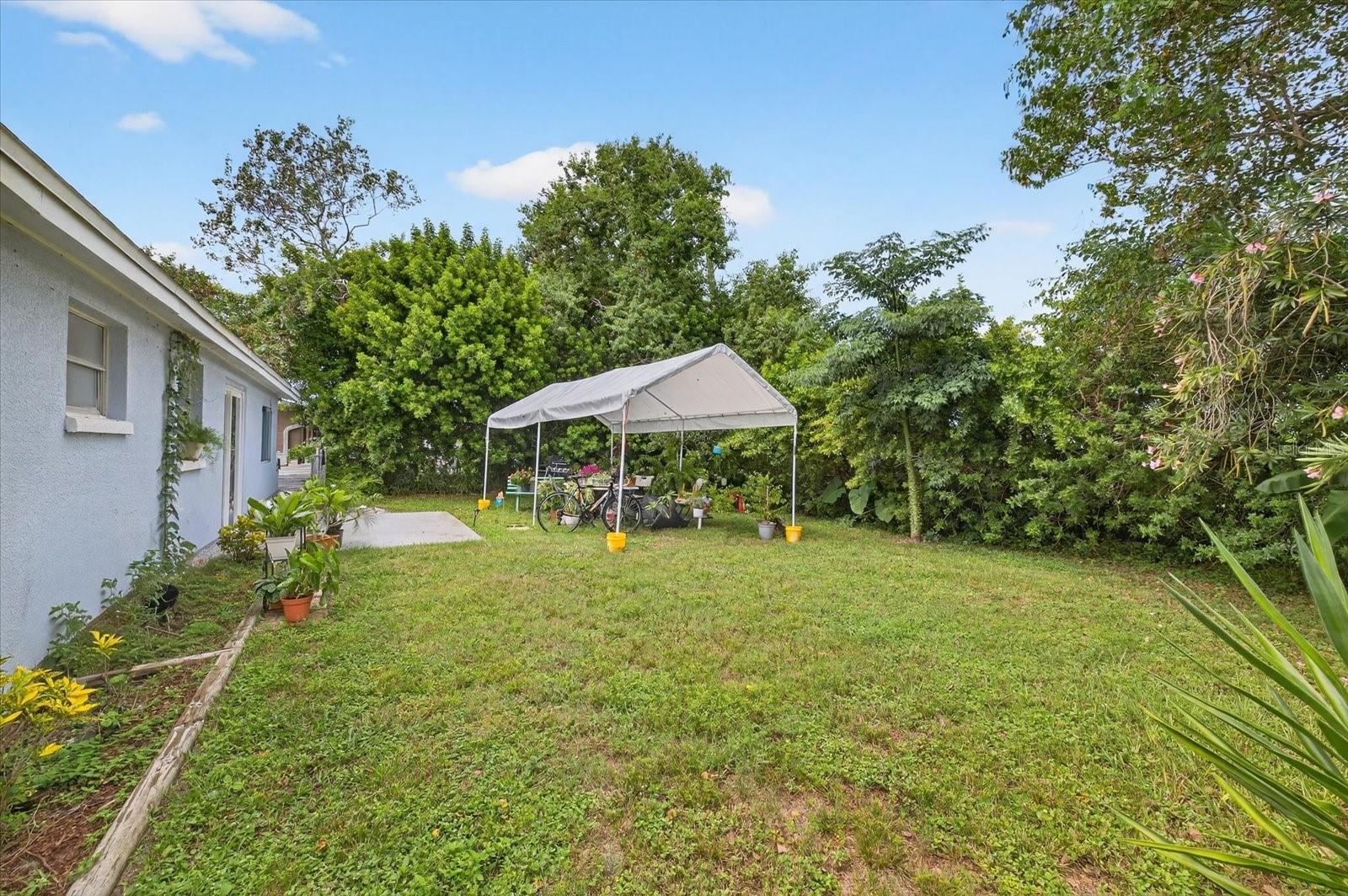 REGENCY PARK - Residential
