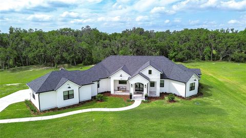 Photo of 111 Alafia Estates Lane, Lithia, FL 33547 (MLS # TB8370148) Photo of 111 Alafia Estates Lane, Lithia, FL 33547 (MLS # TB8370148)
