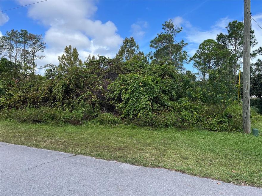 Build your dream home on this vacant lot in the heart of Palm Coast.
