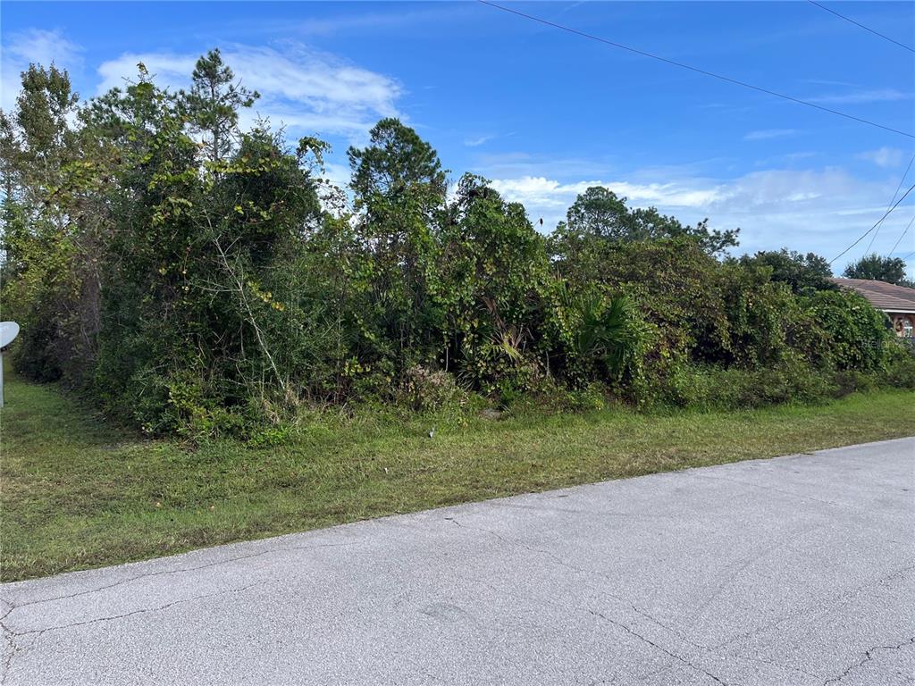 PALM COAST SEC 28 - Land