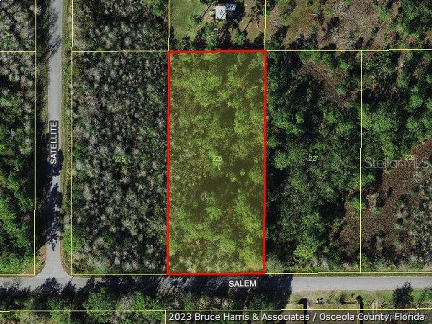 This vacant lot with a total acreage of 0.92 is located in the community of Carnaval Acres with No HOA. Zoned for single-family residences, including mobile and manufactured homes. Holopaw Community Center with Park, Pavilions, Play Area, Basketball Courts & Walking Path.