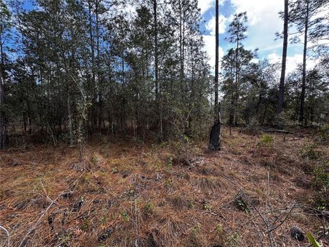 SE 133RD AVENUE DUNNELLON FL 34431