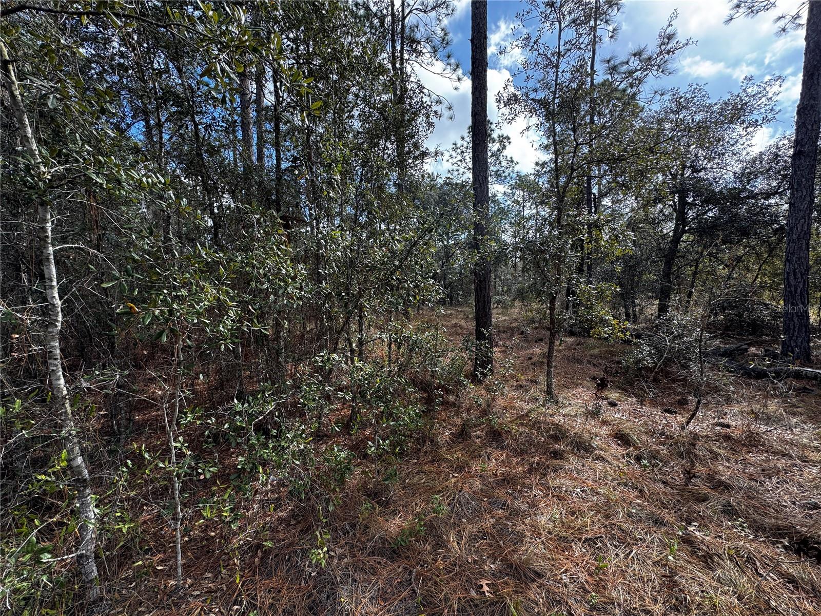 RAINBOW LAKES ESTATE - Land