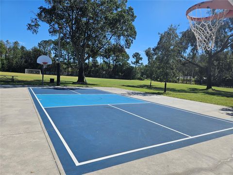 A home in PALM HARBOR