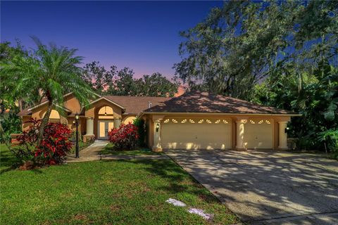 A home in PALM HARBOR