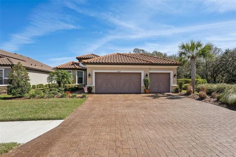 Photo of 10802 Seasons Way, Palmetto, FL 34221 (MLS # A4677078)