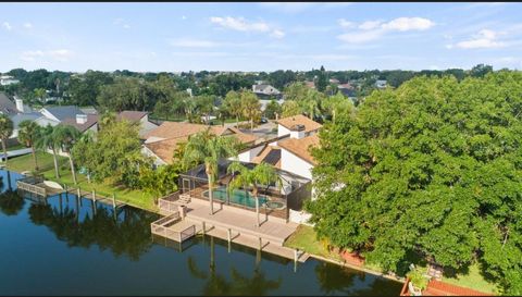 A home in TAMPA