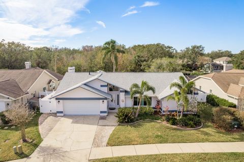 A home in SAFETY HARBOR