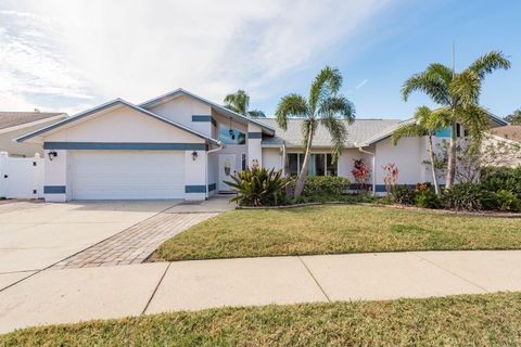 A home in SAFETY HARBOR