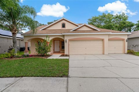 A home in RIVERVIEW