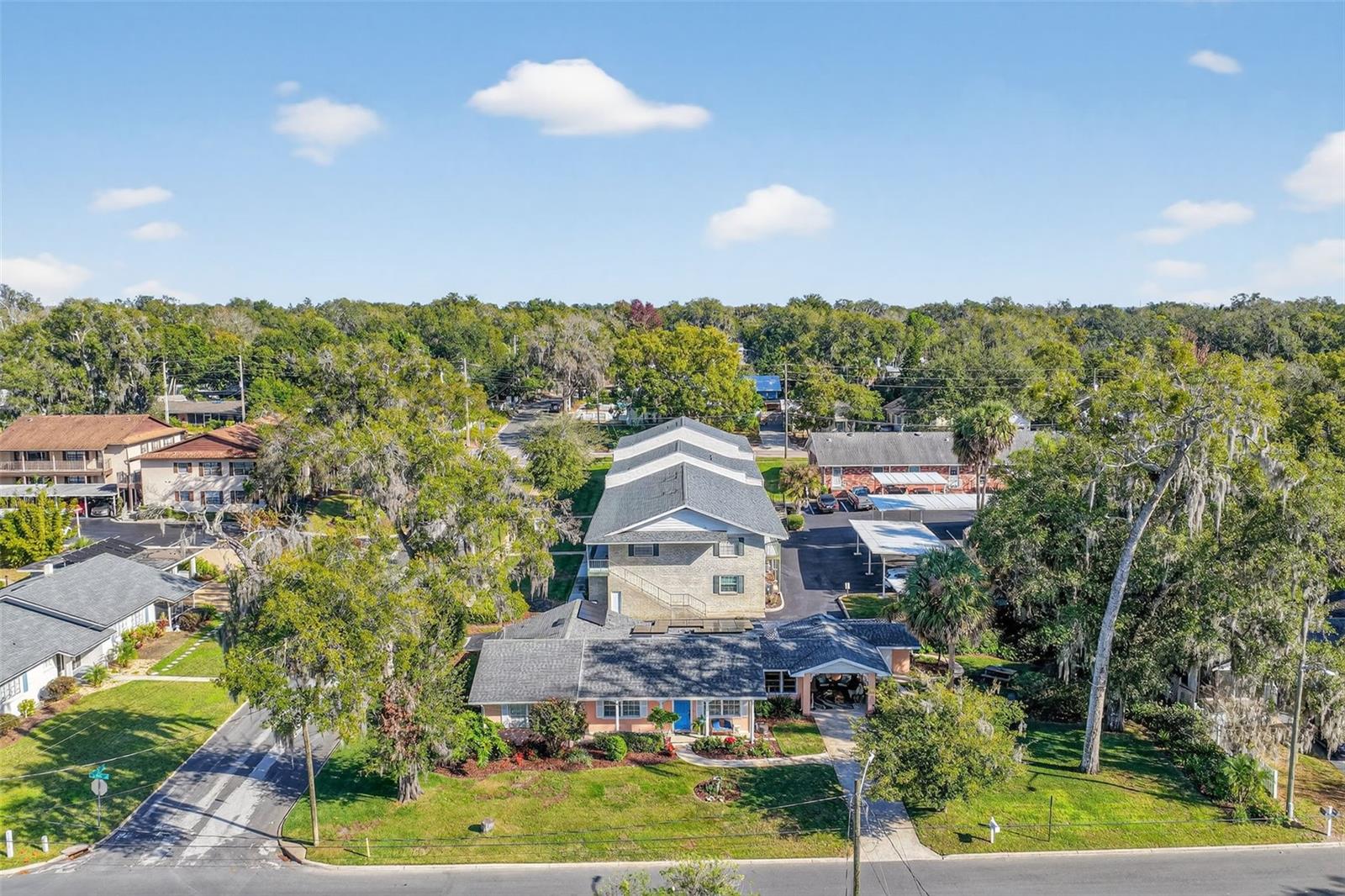 MOUNT DORA - Residential