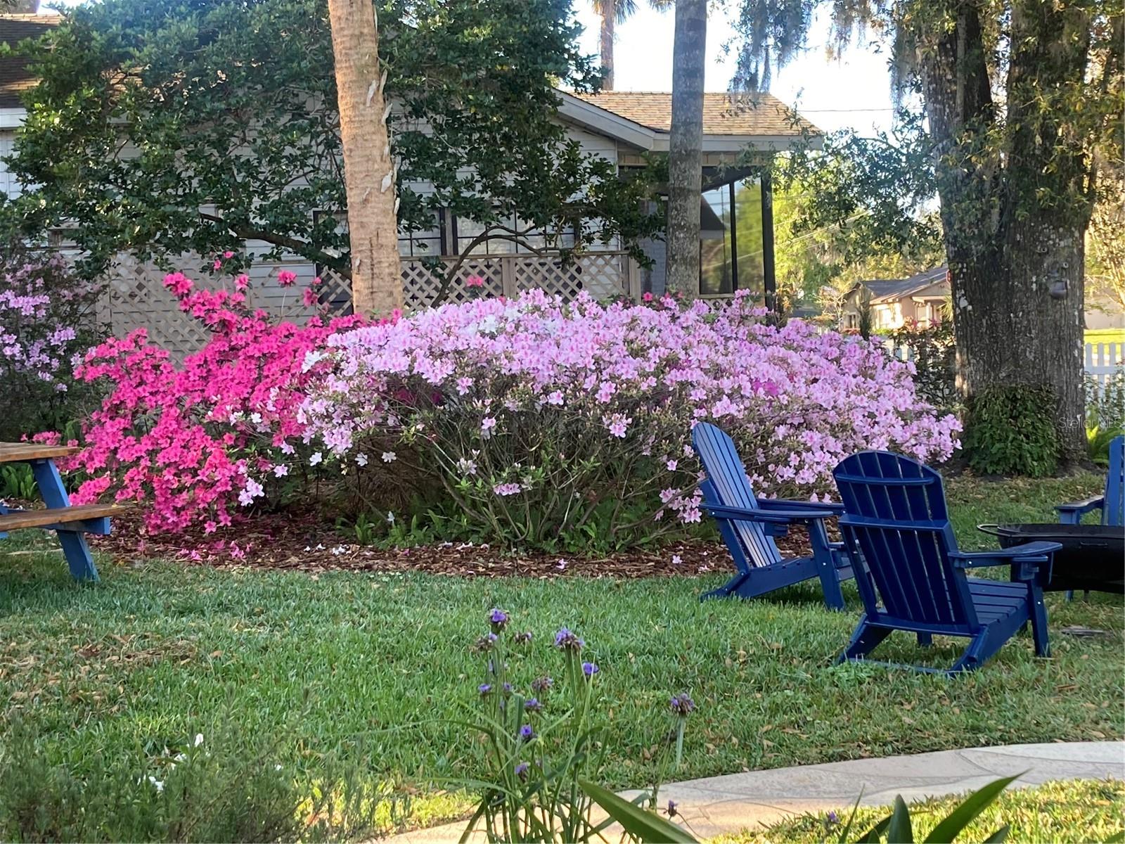 MOUNT DORA - Residential