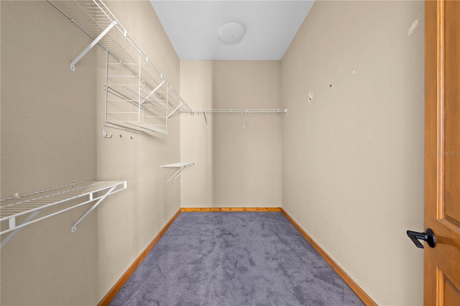 WOLF HAMMOCK - Residential