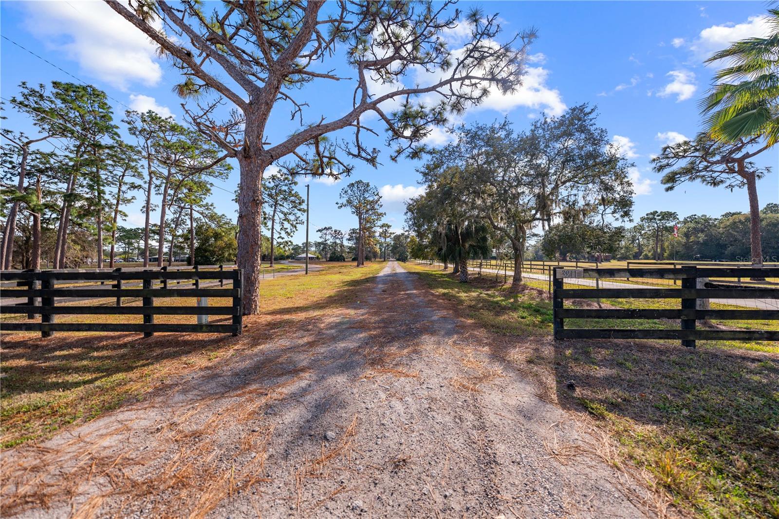 WOLF HAMMOCK - Residential