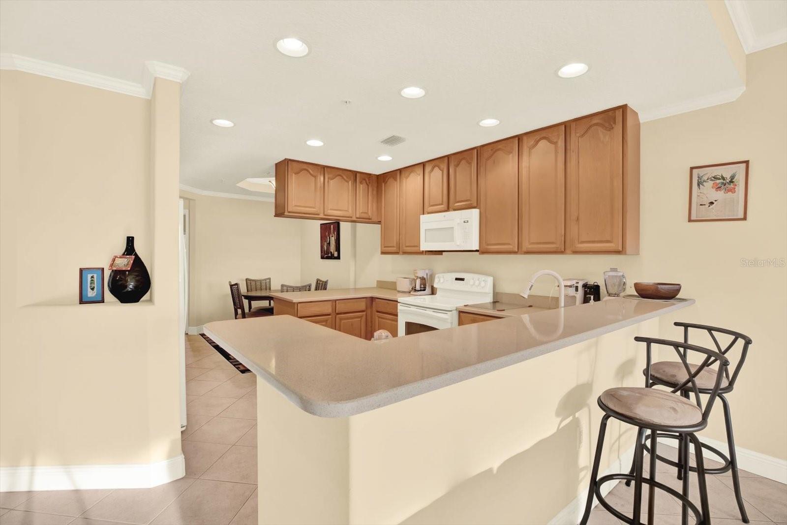 SEMINOLE ISLE CONDO - Residential