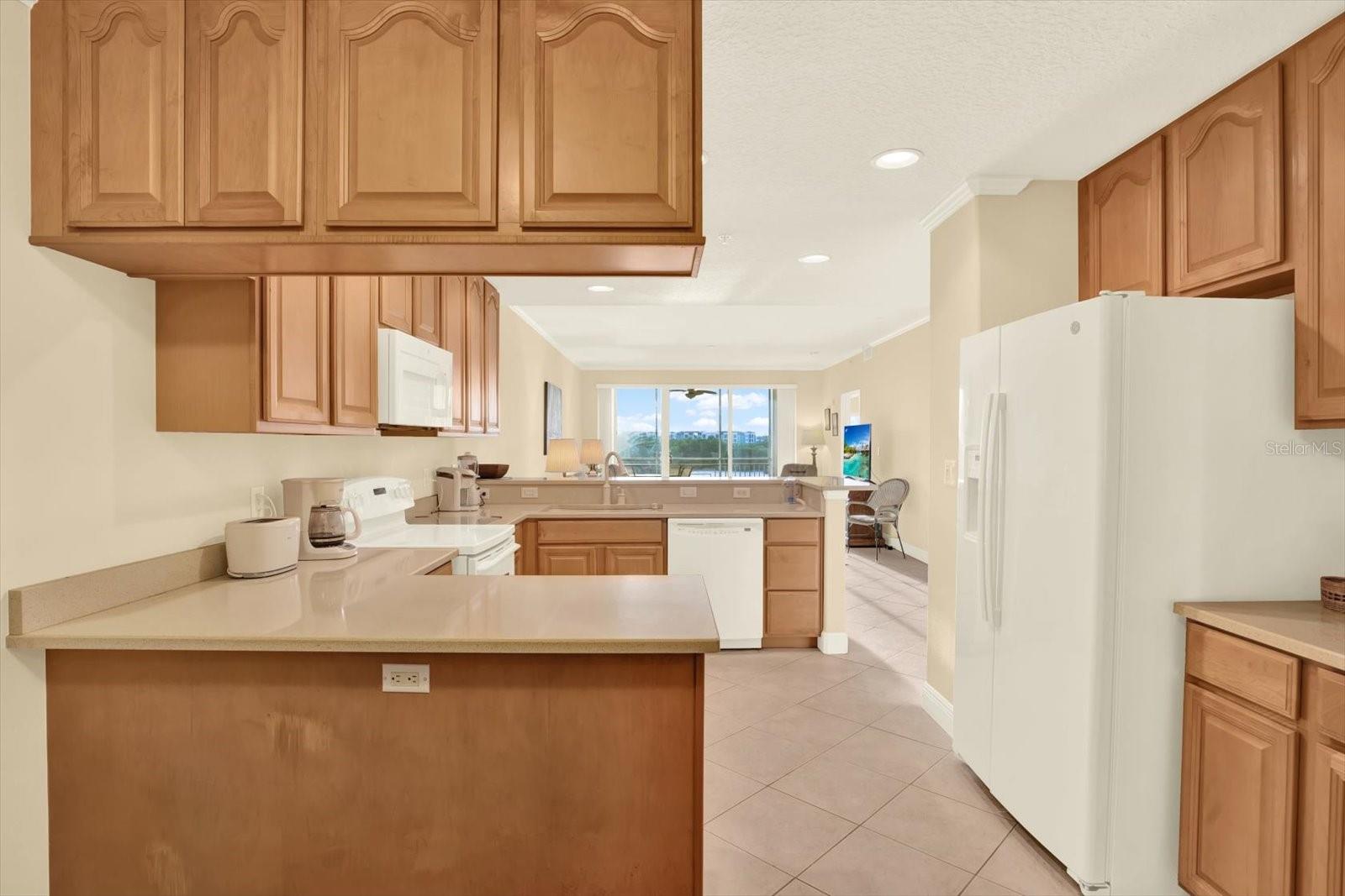 SEMINOLE ISLE CONDO - Residential