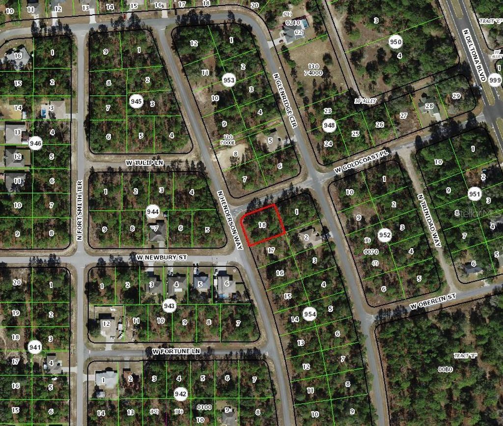 Photo of 7101 N Henderson Way, Dunnellon, FL 34434 (MLS # TB8491580)