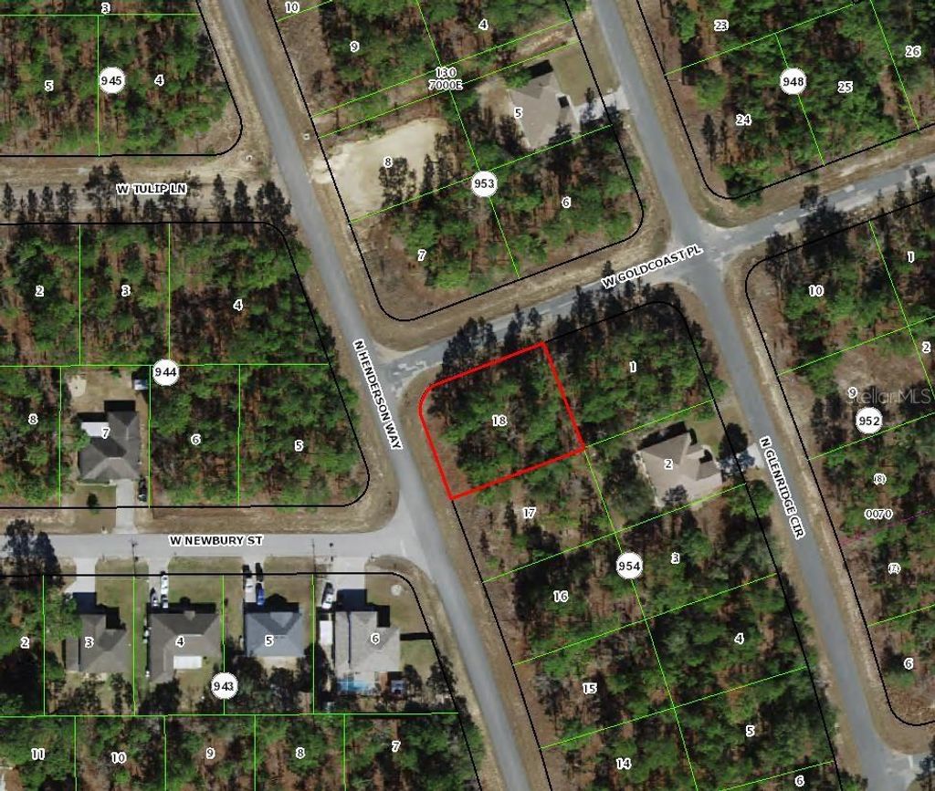 Photo of 7101 N Henderson Way, Dunnellon, FL 34434 (MLS # TB8491580)