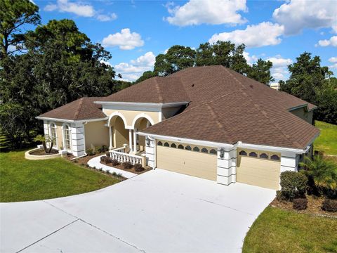 4412 LAKE IN THE WOODS DRIVE SPRING HILL FL 34607