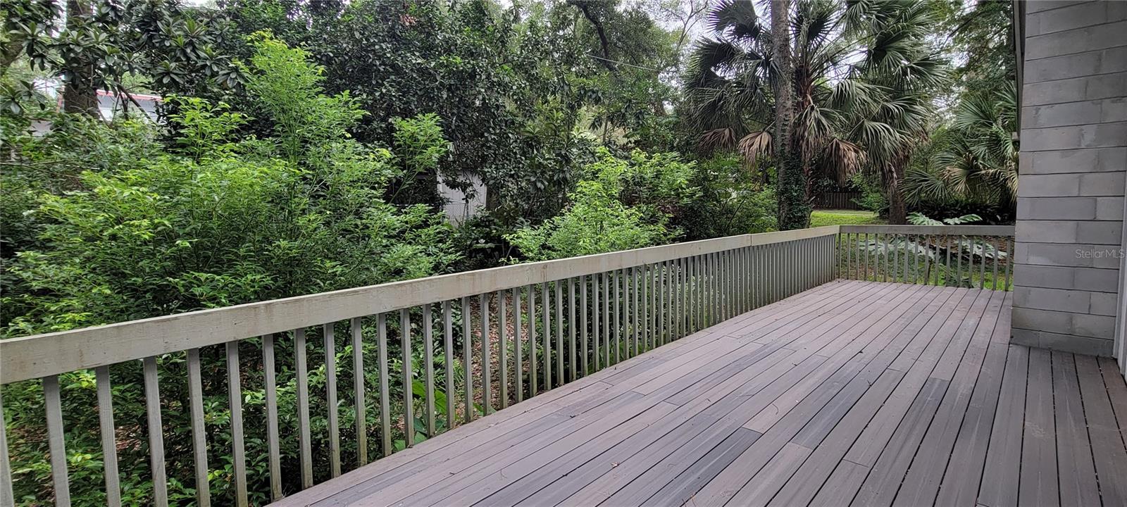 BLACK ACRES - Residential Lease