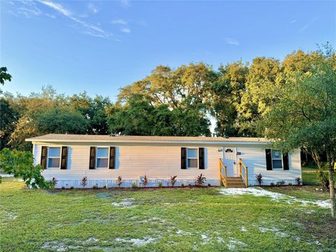 A home in LAND O LAKES