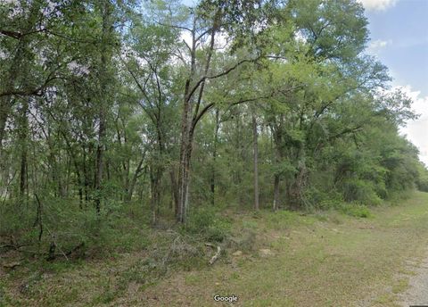 Photo of 719 E Byrd Loop, Dunnellon, FL 34434 (MLS # OM725338)