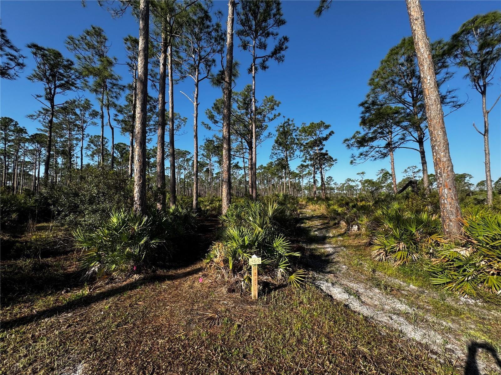 TARPON POINT - Residential