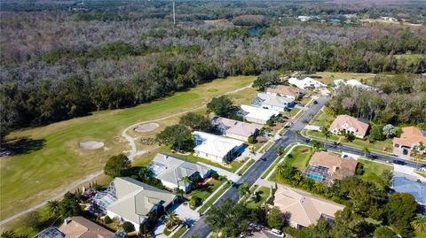 A home in TARPON SPRINGS