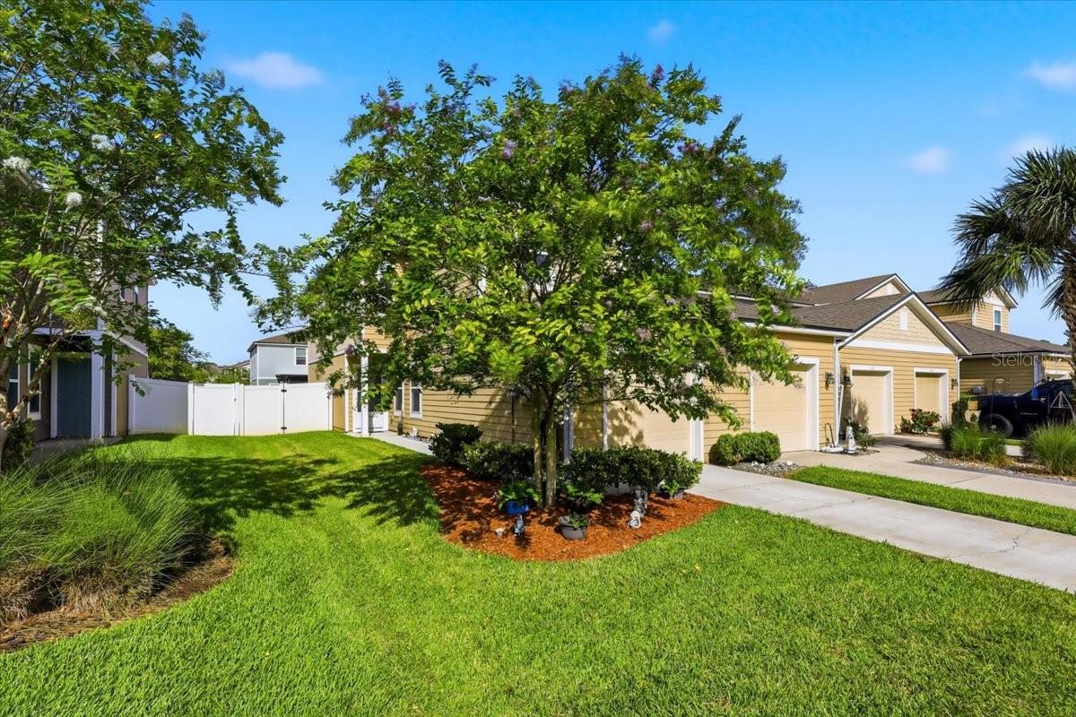 240 WHITLAND WAY