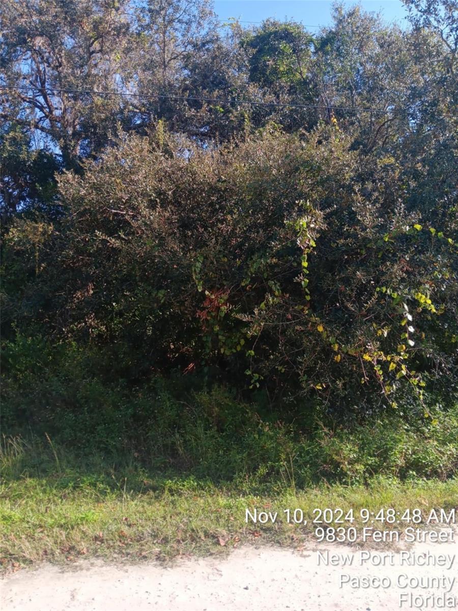 MOON LAKE ESTATES - Land