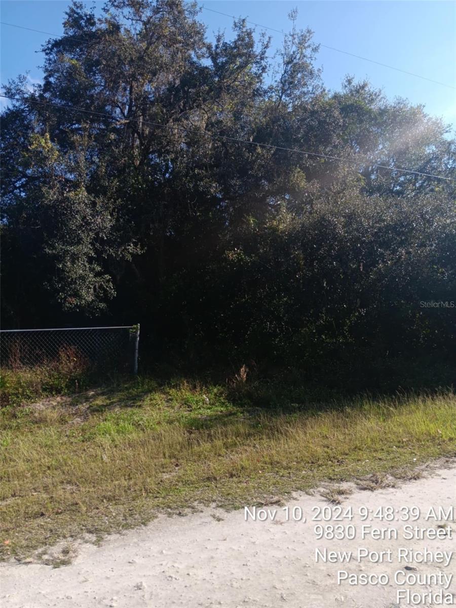 MOON LAKE ESTATES - Land