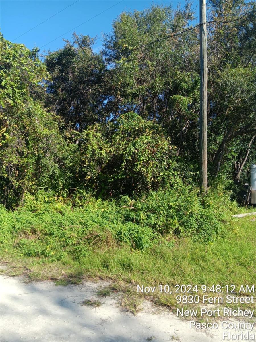 MOON LAKE ESTATES - Land