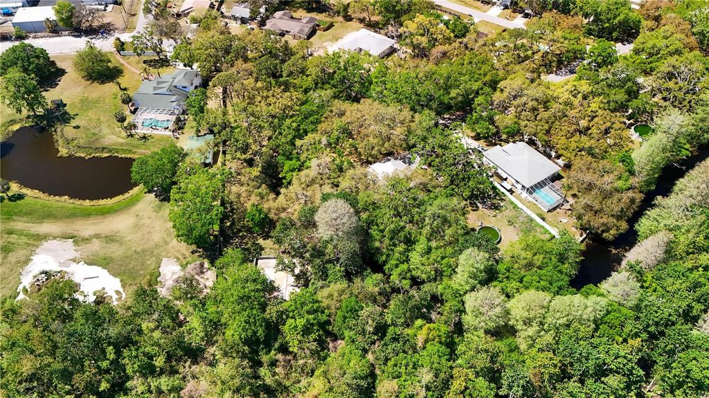 Photo of 9240 Creston Avenue, New Port Richey, FL 34654 (MLS # W7873730)