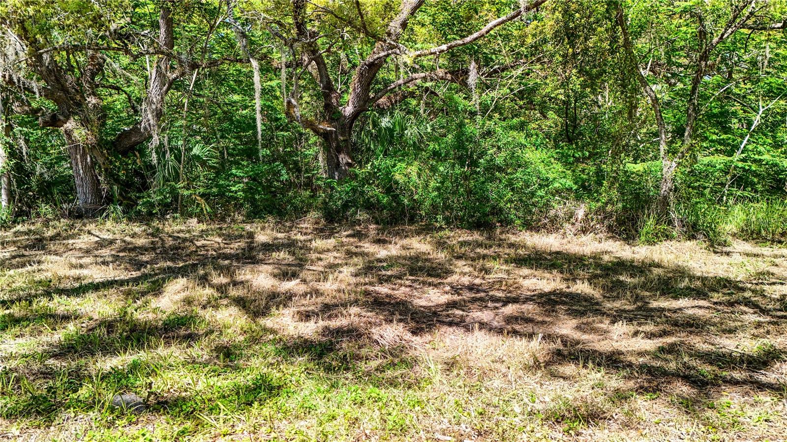 BASS LAKE ACRES SUB - Land