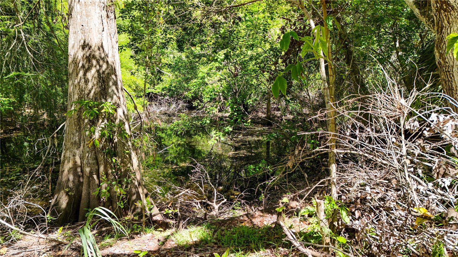 BASS LAKE ACRES SUB - Land