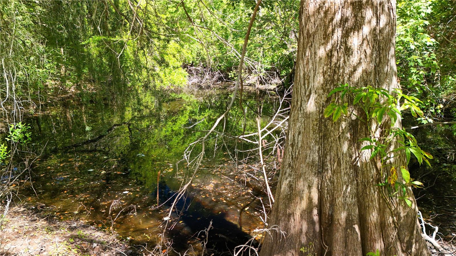 BASS LAKE ACRES SUB - Land