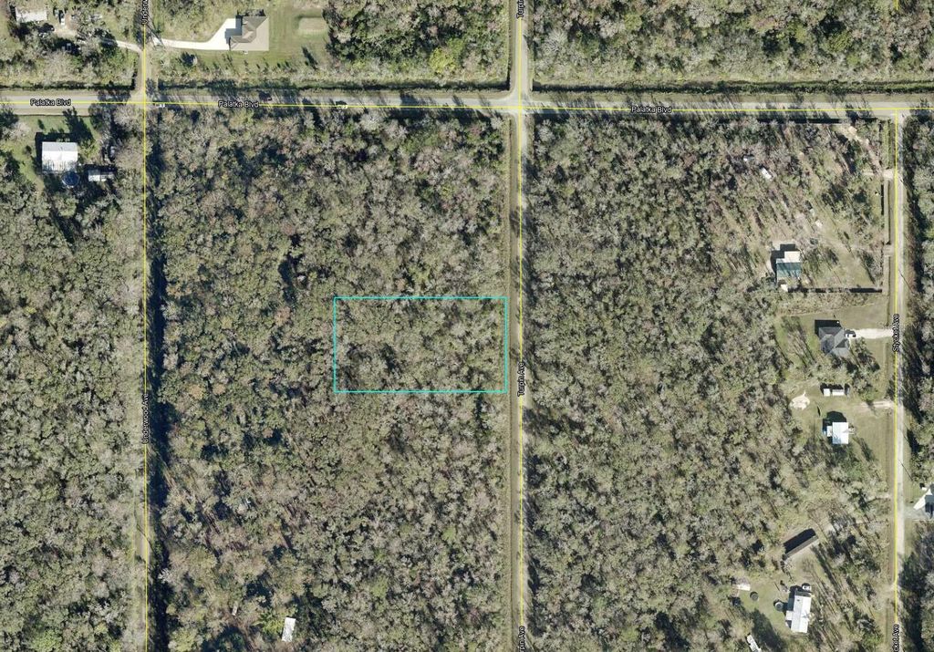 Photo of 10625 Turpin Avenue, Hastings, FL 32145 (MLS # A4688905)
