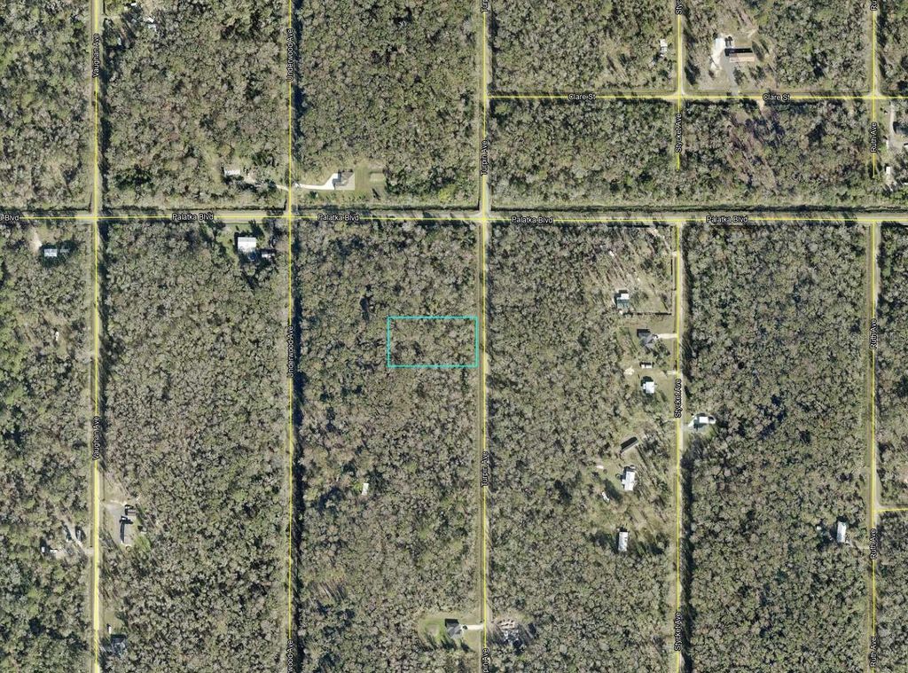 Photo of 10625 Turpin Avenue, Hastings, FL 32145 (MLS # A4688905)