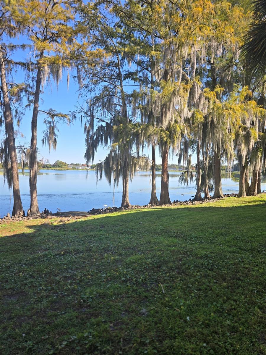 ALHAMBRA CLUB CONDO - Residential Lease