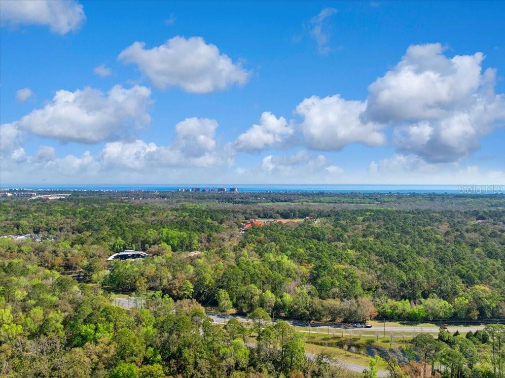 PALM COAST/BERNARD MDWS SEC 81 - Land