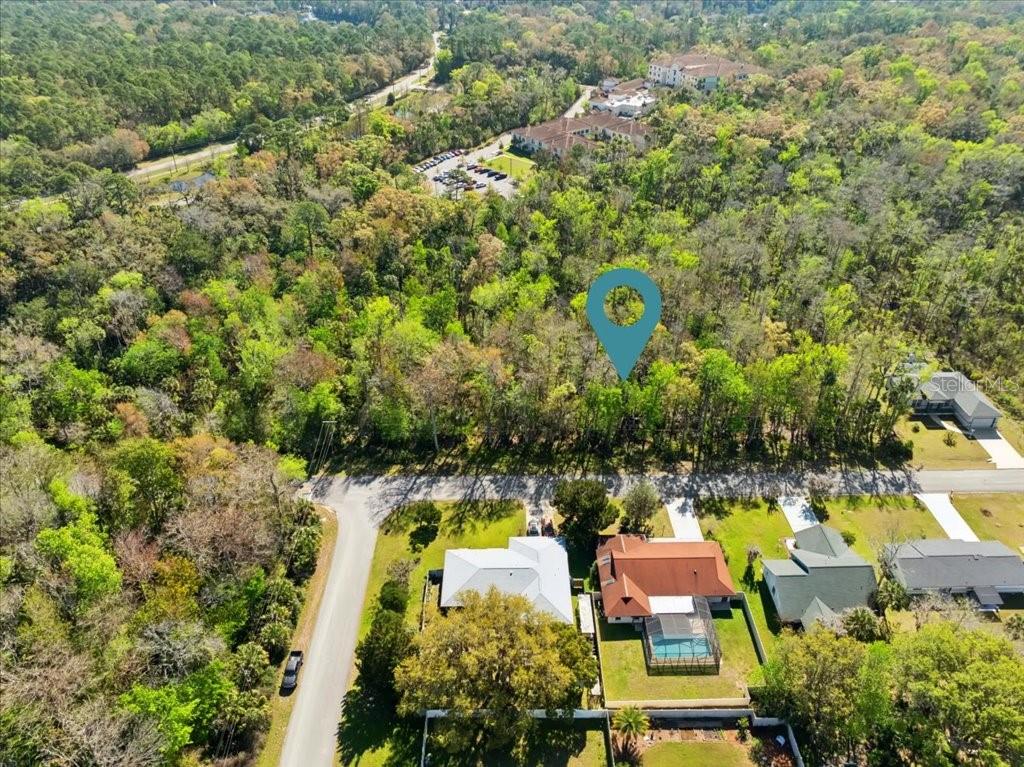 PALM COAST/BERNARD MDWS SEC 81 - Land