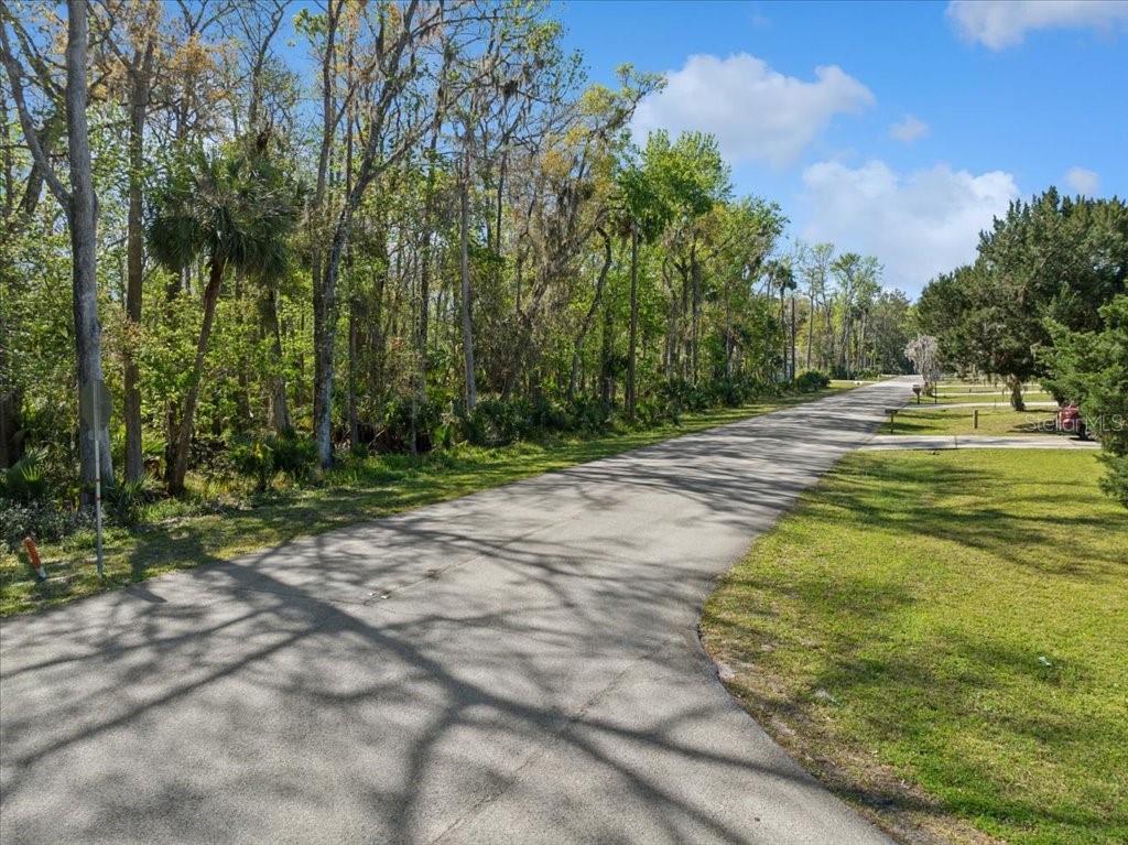 PALM COAST/BERNARD MDWS SEC 81 - Land