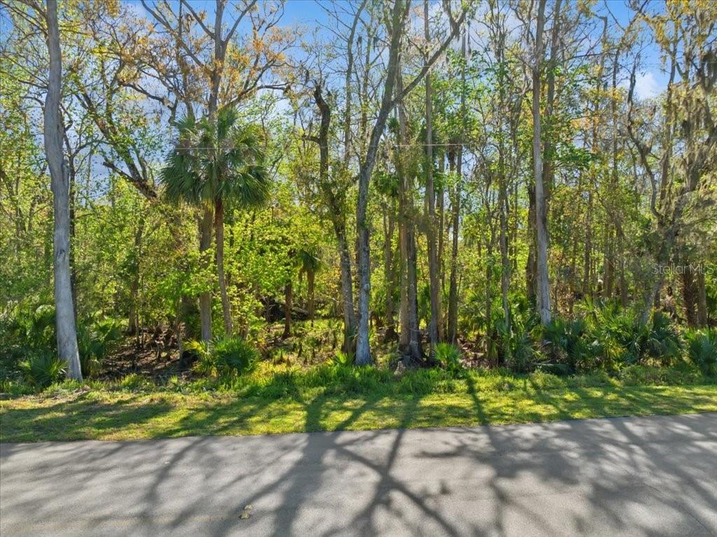 Welcome to your slice of paradise in Palm Coast Florida! A vacant lot in the heart of Palm Coast typically offers a unique opportunity for potential homeowners, investors, or developers. Located in a rapidly growing area, this lot would be characterized by its proximity to essential amenities such as shopping centers, restaurants, parks, and schools, making it an ideal location for residential. The ambiance of Palm Coast includes a blend of natural beauty, with nearby beaches, and golf courses creating a lifestyle that appeals to outdoor enthusiasts and families alike. Additionally, the area typically benefits from a friendly community atmosphere, characterized by an inviting and serene environment, perfect for creating a dream home or an investment opportunity. Overall, the lot offers potential for development and a chance to be part of a thriving Florida community. Don't miss the opportunity to live close to Flagler Beach (one of the nicest beaches in the world). Not far from restaurants, shopping, schools, and medical facilities! Quick access to I95 or US1 to travel North to St Augustine or South to Volusia County.