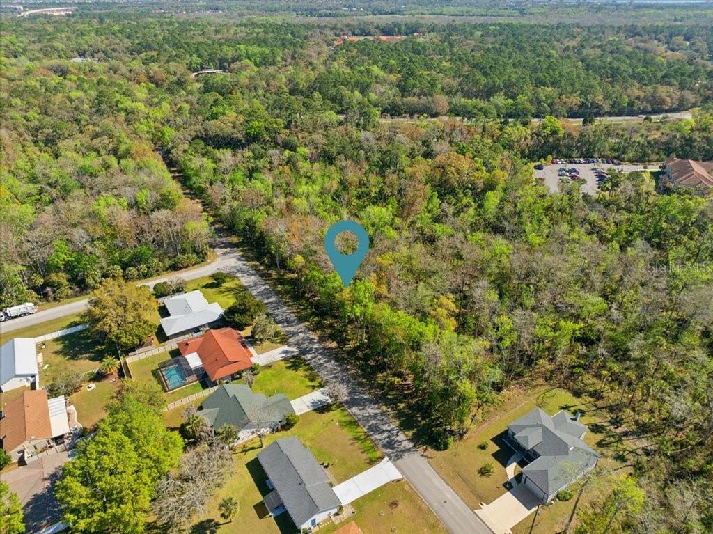 PALM COAST/BERNARD MDWS SEC 81 - Land