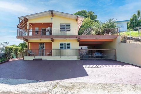 SR-312 km 5.3 int LLANOS TUNA WARD CAMINO ASENCIO CABO ROJO  00623