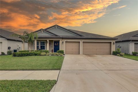 Photo of 15217 Zircon Red Drive, Wimauma, FL 33598 (MLS # TB8420807)