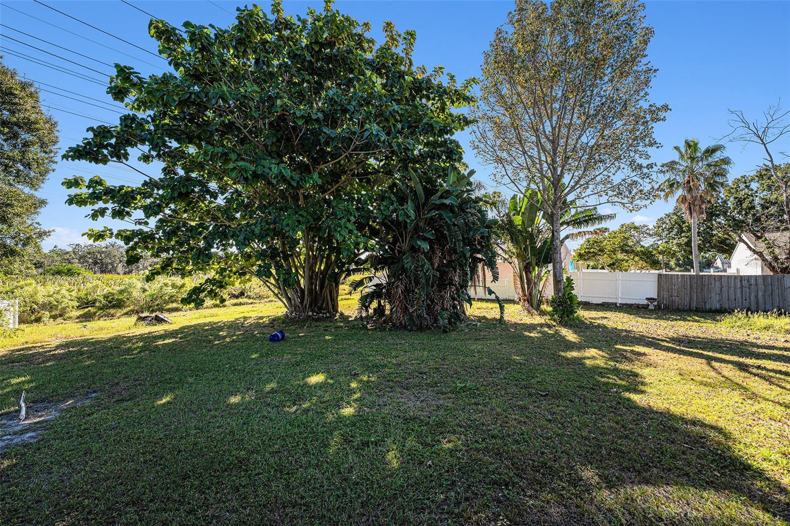 SHOREVIEW PHASE 2 - Residential