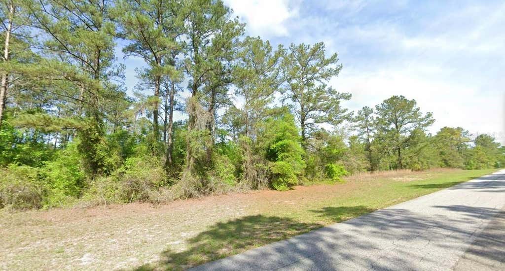 Photo of 1495 E Citrus Springs Boulevard, Citrus Springs, FL 34434 (MLS # TB8530044)